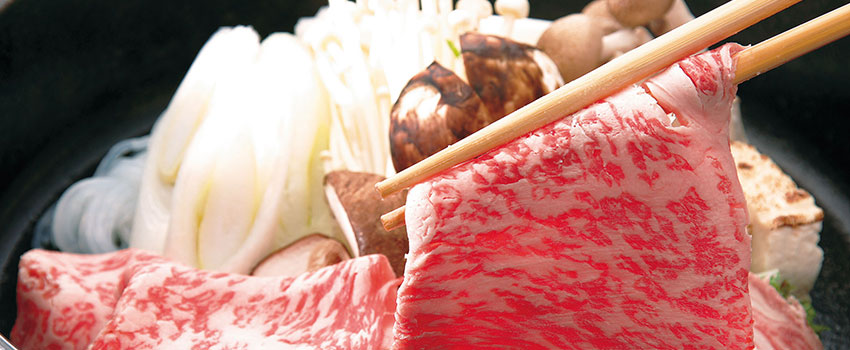 �V���s���̊��B�w��T��x�̃��C���摜2